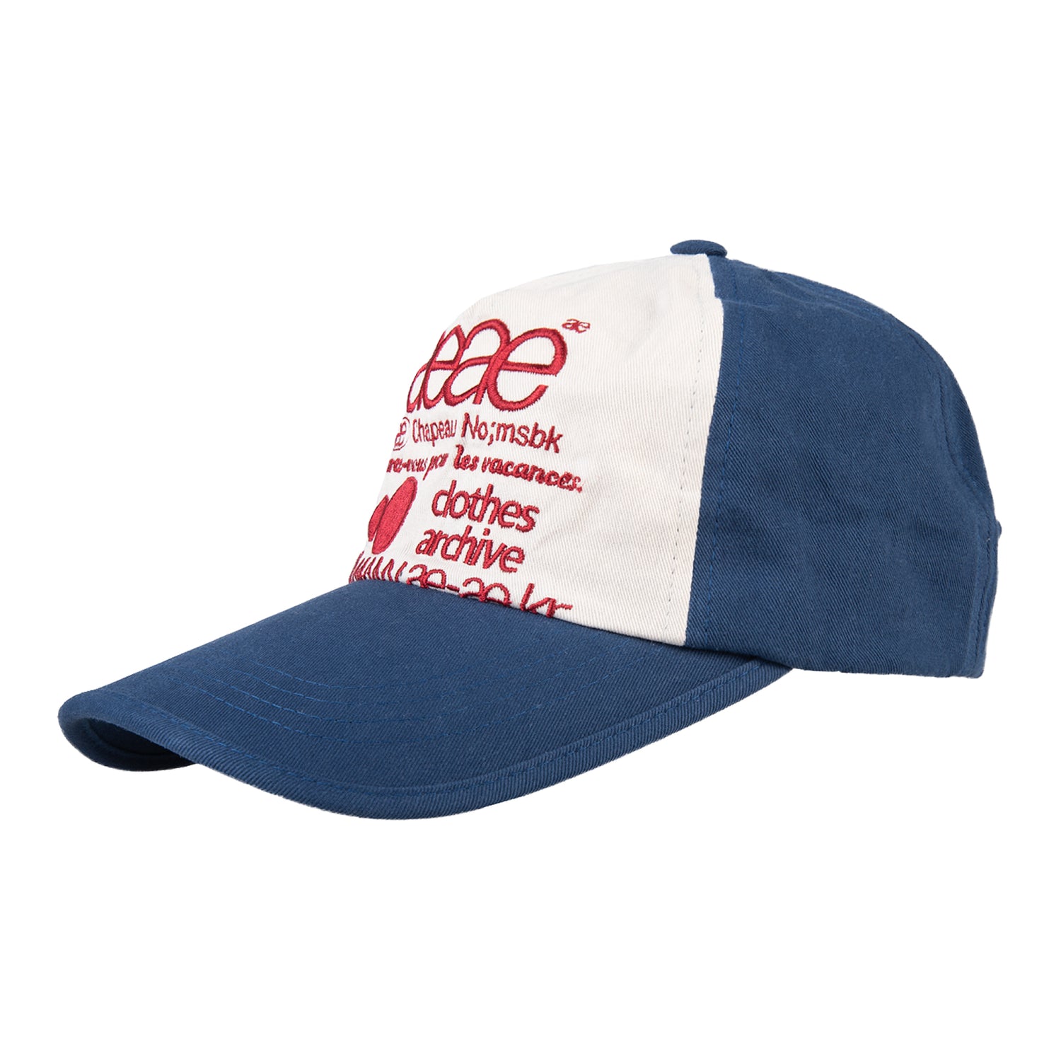 WEB LOGO 5 PANNEL CAP [BLUE/RED]