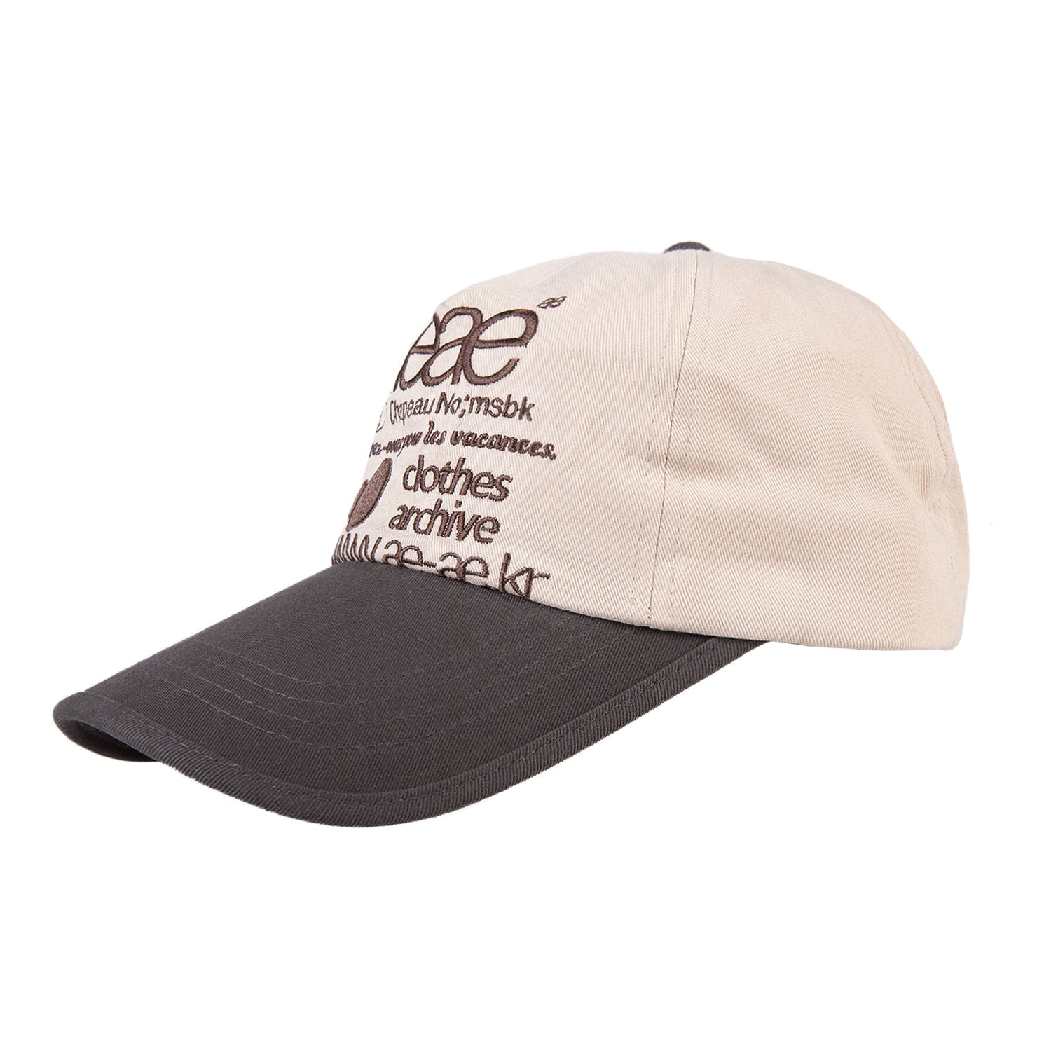 WEB LOGO 5 PANNEL CAP [CHARCOAL/MOCA]