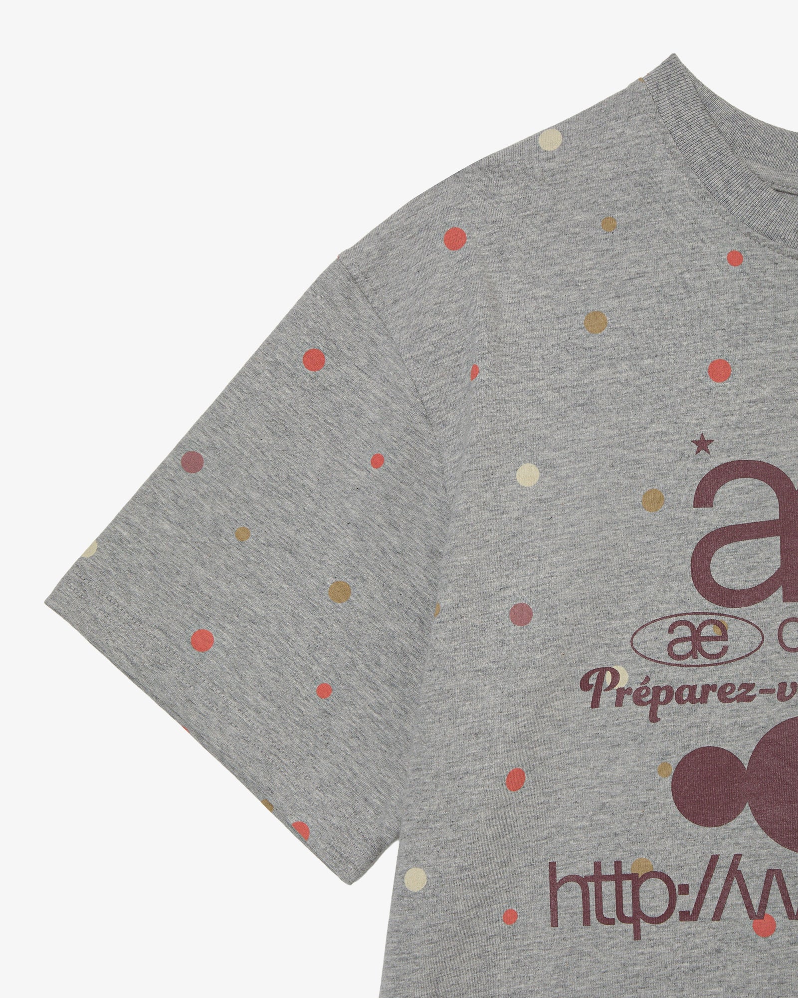 WEB LOGO COLOR DOT T-SHIRTS [MELANGE GREY]