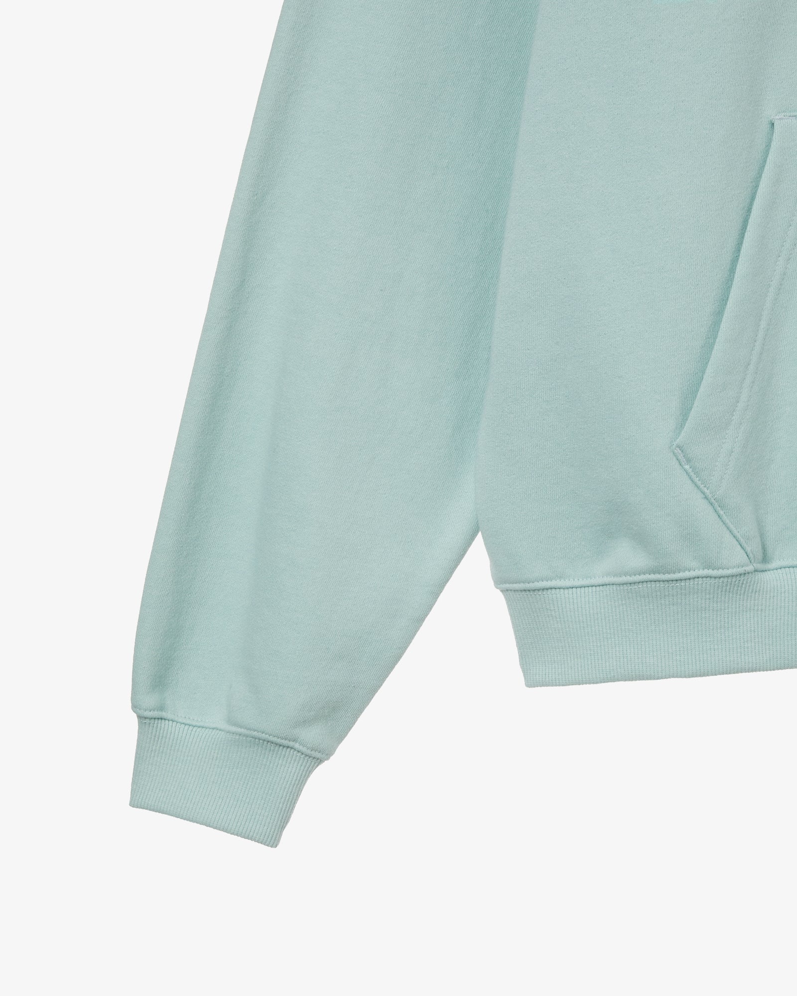 WEB LOGO LOOSED HOODIE [MINT]
