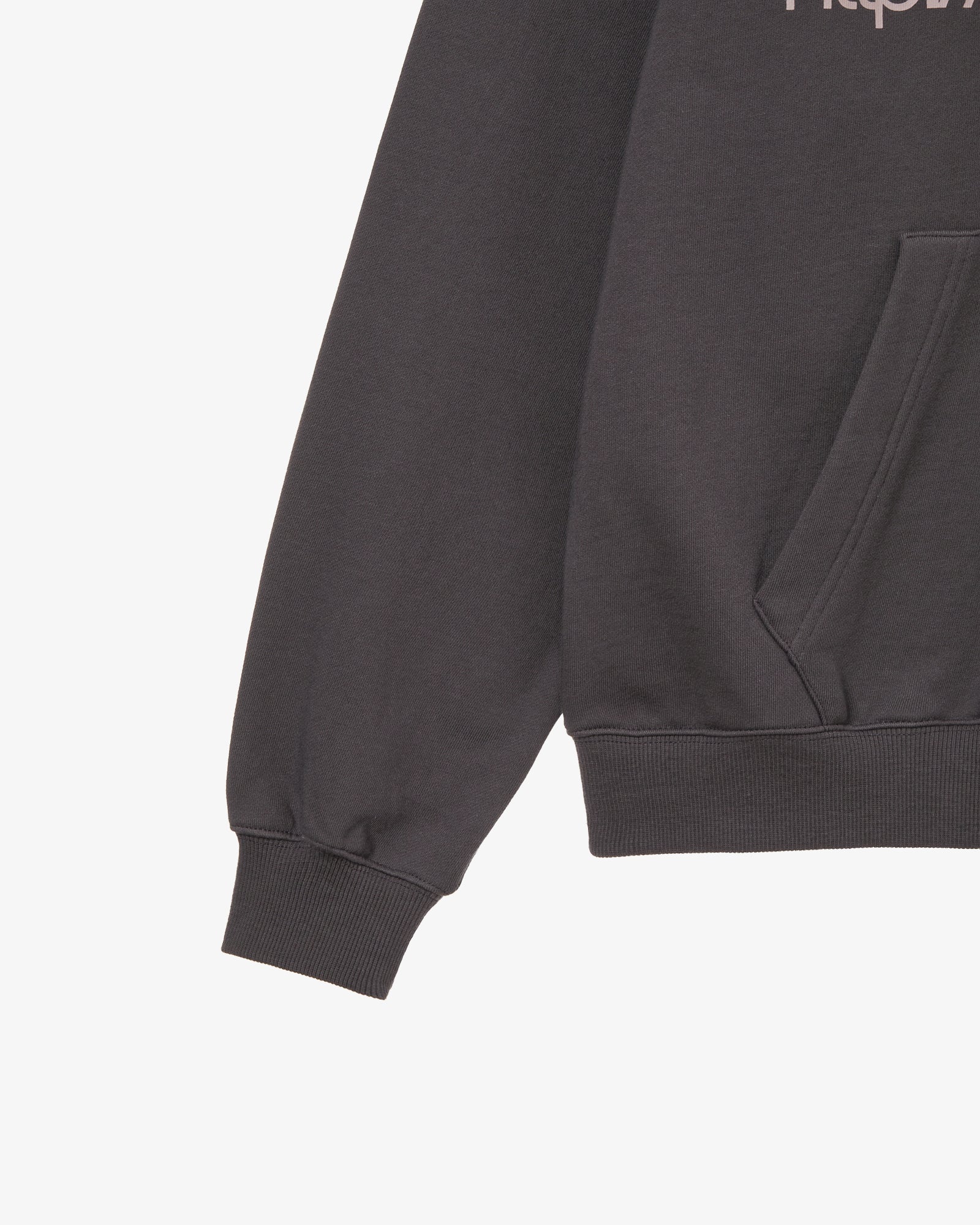 WEB LOGO LOOSED HOODIE [PURPLE CHARCOAL]