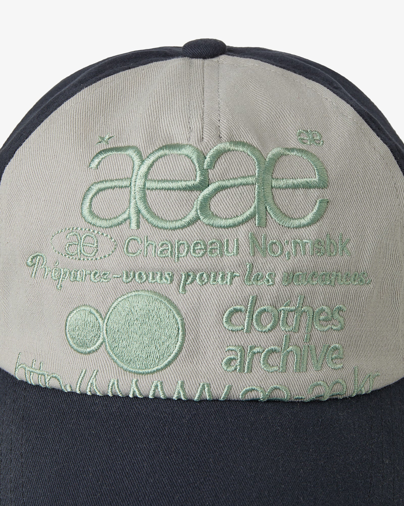 WEB LOGO 5 PANNEL BALL CAP [DARK NAVY/ASH] – aeae JAPAN